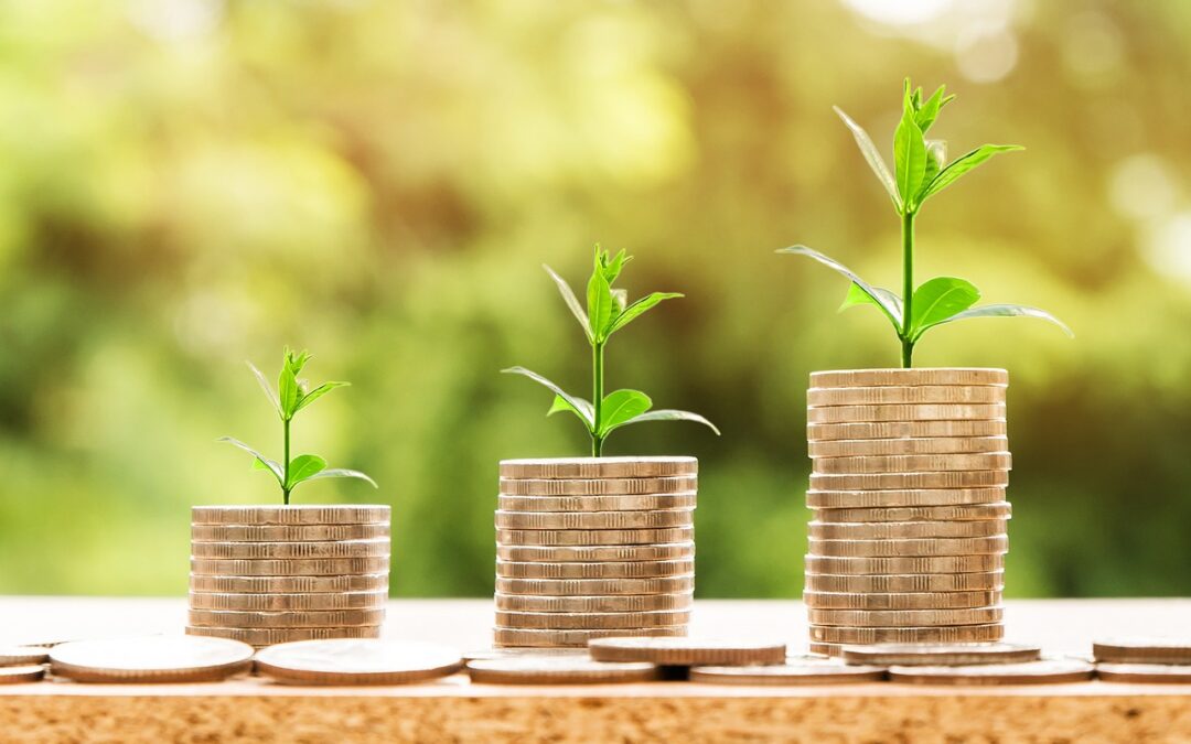 Besparen op Verhuiskosten: De Beste Budgettips