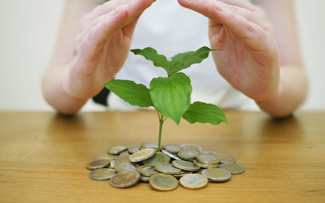 Duurzaam Wonen: Bespaar Geld én het Milieu